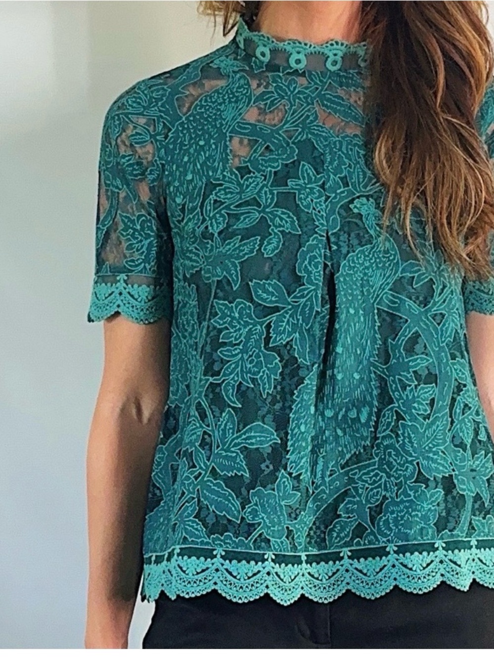 Anthropologie Lace Meadow HD in Paris Blouse Short Sleeve Top Size 4 pre-owned